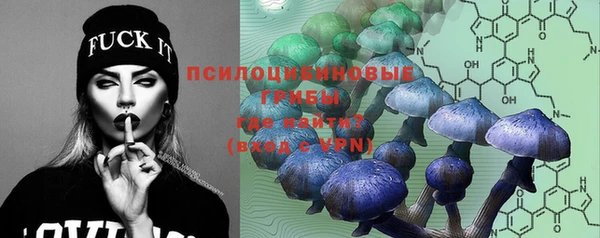 синтетический гашиш Новозыбков